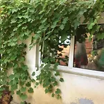 Casa Adrian CAMERE CENTRU VECHI