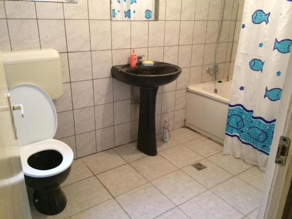 Camping Casa Adrian Centru Vechi