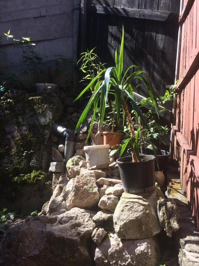 Casa Adrian Centru Vechi * Braşov